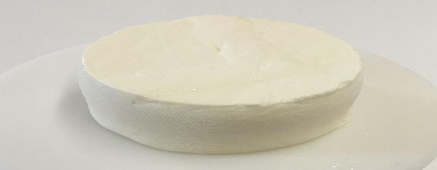 Soft Cheese Morning