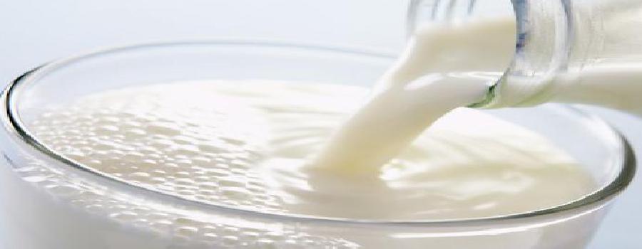Pasteurized milk (fat content of 3.4-3.6%)