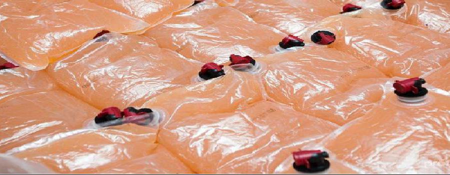 Frozen fruit juice
