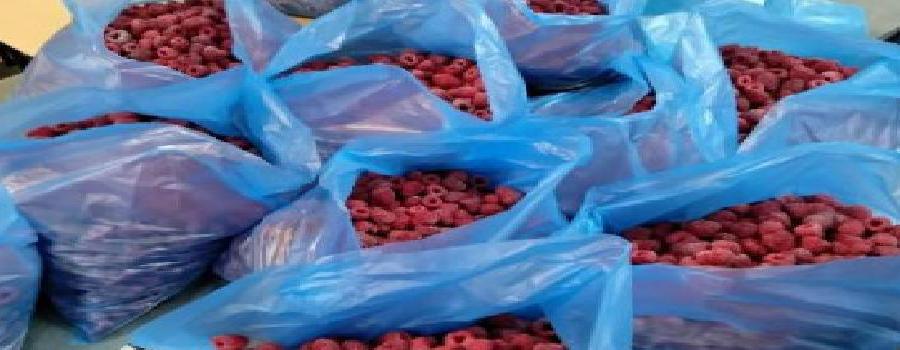 Frozen organic strawberry